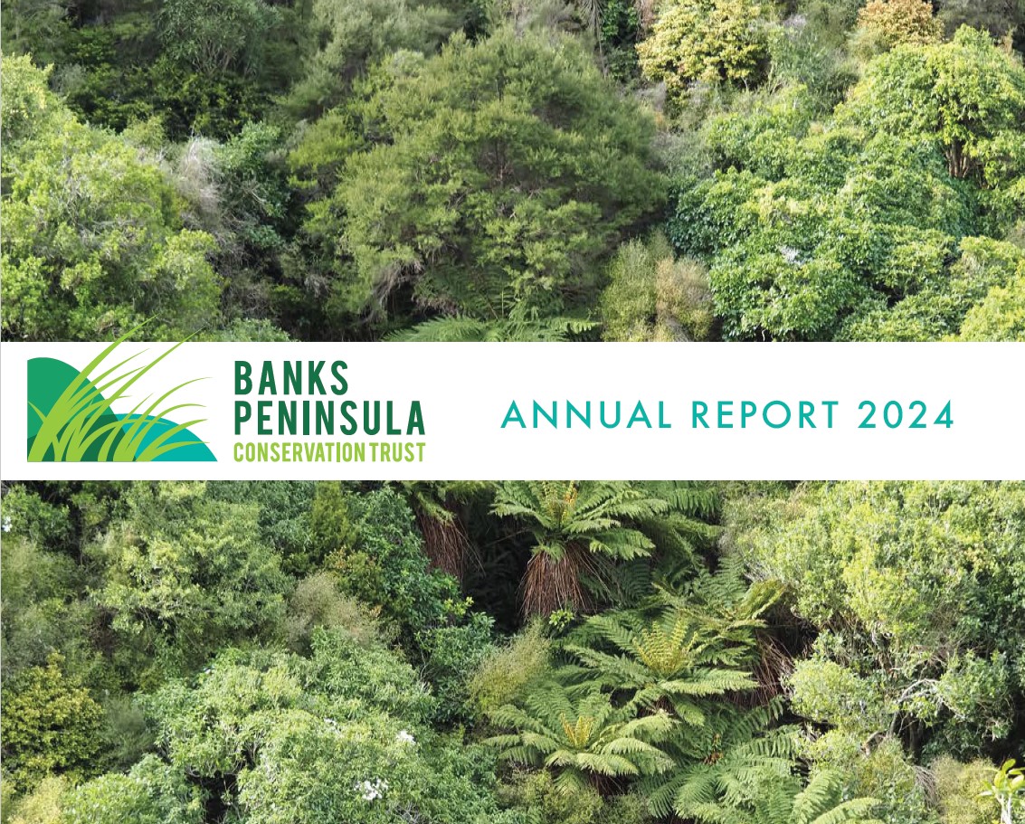 Annual Report 2024